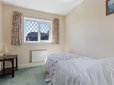 Picture 8